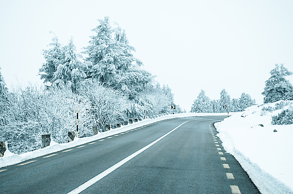 포토 JPG 해외이미지 주간 나무 도로 겨울 사람없음 야외 겨울풍경 해외202004 눈덮임 해외포토 자연요소 식물 계절 길 컨셉 교통시설 풍경 파일형식 이미지허브