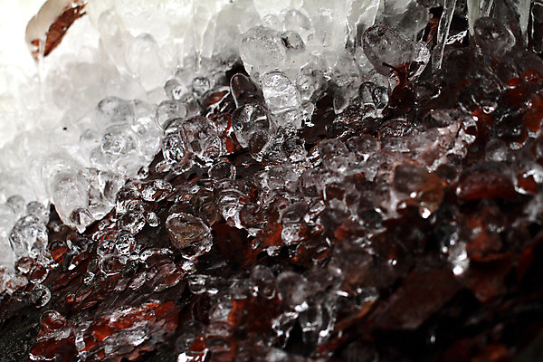 포토 JPG 해외이미지 식물 계절 백그라운드 잎 겨울 패턴 자연 날씨 추상 사람없음 야외 빨간색 물 냉동 얼음 어둠 추위 흰색 닫기 숲 시원함 서리 내추럴 해외202004 해외포토 자연요소 컬러 무늬 모션 생태계 파일형식 이미지허브