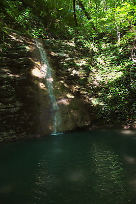 포토 JPG 해외이미지 공원 여행 잎 모션 자연 산 이끼 풍경 사람없음 야외 초록색 물 여름 강 환경 봄 폭포 흐름 바위 신선 개울 떨어짐 소프트포커스 숲 속도 상쾌 장면 해외202004 해외포토 자연요소 식물 계절 공공시설 감정 컬러 컨셉 촬영기법 돌_바위 생태계 파일형식 이미지허브