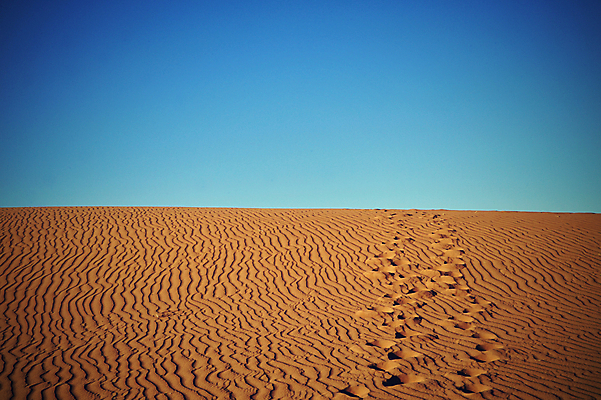 포토 JPG 해외이미지 모래 파도 여행 백그라운드 패턴 오렌지 아프리카 자연 하늘 건조 따뜻함 풍경 사람없음 야외 빨간색 여름 파란색 모래사장 태양 갈색 노란색 맑음 일몰 사막 뜨거움 거친 고독 갈증 모래언덕 묘사 지역 가뭄 모로코 사하라 내추럴 아랍어 해외202004 해외포토 자연요소 계절 감정 나라 바다 컬러 무늬 과일 날씨 노을 언덕 생태계 파일형식 이미지허브