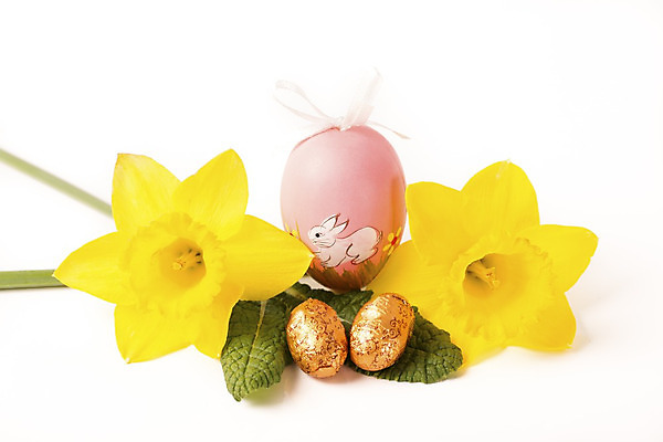 포토 JPG 해외이미지 식물 전통 디자인 계절 꽃 분홍색 백그라운드 성공 휴가 창조 미술 이벤트 사람없음 장식 초록색 컬러풀 노란색 축제 페인트 봄 흰색 축하 그리기 둥지 다발 수집 심볼 부활절계란 내추럴 해외202004 해외포토 컬러 컨셉 모션 문화예술 부활절 계란 파일형식 이미지허브