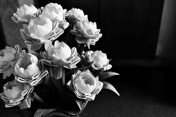 포토 JPG 해외이미지 식물 계절 꽃잎 꽃 분홍색 꽃무늬 태국 자연 추상 연꽃 사람없음 장식 초록색 컬러풀 꽃병 벚꽃 흰색 도자기 닫기 심볼 묘사 내추럴 이국적 정물화 해외202004 해외포토 아시아 컬러 무늬 모션 그림 생태계 파일형식 이미지허브