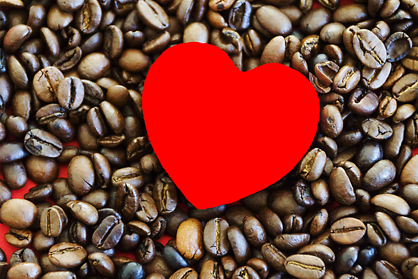 포토 JPG 해외이미지 사람없음 원두 하트 가득함 해외202004 해외포토 모양 커피 파일형식 이미지허브