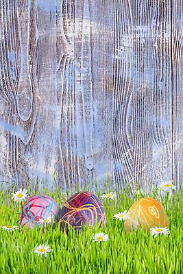 포토 JPG 해외이미지 전통 디자인 계절 꽃잎 꽃 음식 백그라운드 꽃무늬 벽지 휴가 기념 이벤트 사람없음 목재 장식 초록색 빛 페인트 봄 수확 흰색 시골 신용카드 4월 심볼 질감 부활절계란 해외202004 해외포토 나무 식물 컬러 무늬 농업 재료 부활절 금융 계란 날짜 파일형식 이미지허브