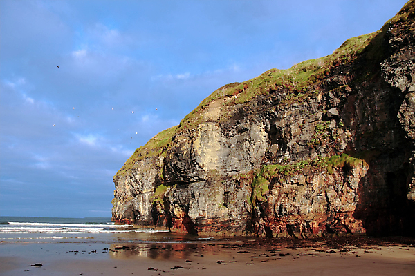 포토 JPG 해외이미지 모래 파도 바다 여행 자연 갈매기 조류 하늘 휴가 풍경 사람없음 물 파란색 빛 갈색 여행객 절벽 젖음 지성 수확 바위 해조류 동굴 재산 황금 암초 폭풍 아일랜드 대서양 내추럴 고립 다시마 헤드랜드 해외202004 해외포토 자연요소 동물 유럽 컬러 농업 날씨 사람 금융 돌_바위 해양식물 생태계 파일형식 이미지허브
