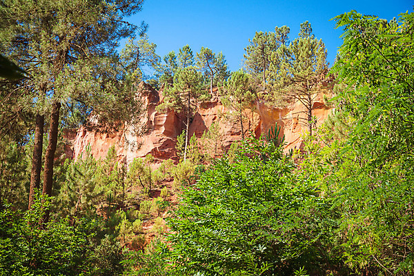 포토 JPG 해외이미지 나무 백그라운드 오렌지 자연 풍경 사람없음 야외 빨간색 프랑스 바위 정상 언덕 남쪽 프랑스어 프로방스 해외202004 해외포토 식물 문자 유럽 컬러 과일 돌_바위 방향 생태계 파일형식 이미지허브