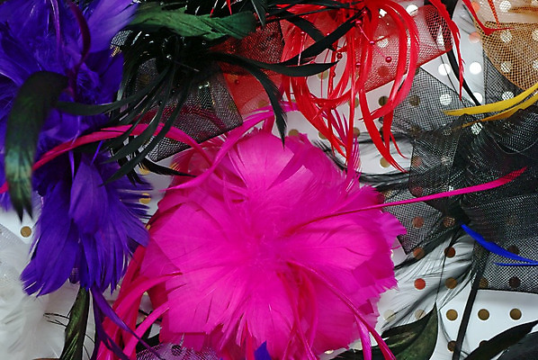 포토 JPG 해외이미지 라이프스타일 드레스 옷 분홍색 백그라운드 무지개 패턴 장신구 조류 사람없음 장식 빨간색 초록색 파란색 컬러풀 파티 유행 축제 공연 축하 화려 깃털 질감 쇼 부드러움 브로치 해외202004 해외포토 자연요소 동물 컬러 컨셉 무늬 이벤트 생활 감각 파일형식 이미지허브