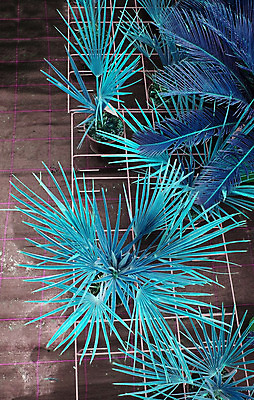 포토 JPG 해외이미지 나무 식물 화분 화초 백그라운드 잎 자연 사람없음 야외 장식 초록색 성장 나뭇가지 신선 오브젝트 원예 내추럴 심기 해외202004 해외포토 컬러 모션 취미 생태계 파일형식 이미지허브