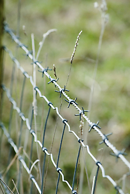 포토 JPG 해외이미지 백그라운드 경고 안전 사람없음 세로 초록색 울타리 금지 시골 보호 위험 위협 경계 보안 부드러움 철사 철조망 대각선 구성 철강 해외202004 해외포토 선 컬러 컨셉 담장 감각 파일형식 이미지허브