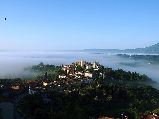 포토 JPG 해외이미지 나무 유럽 밭 자연 아침 산 풍경 사람없음 초록색 여름 평화 환경 계곡 봄 이탈리아 시골 만취 언덕 그림 올리브 포도밭 뿌연 시에나 토스카나 해외202004 해외포토 주간 식물 계절 열매 나라 컬러 컨셉 농업 생태계 술취함 파일형식 이미지허브