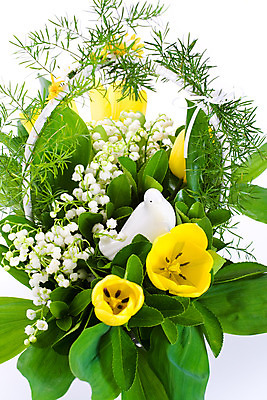 포토 JPG 해외이미지 식물 계절 꽃 리본 꽃다발 백그라운드 꽃무늬 자연 부활절 선물 사람없음 장식 초록색 노란색 바구니 봄 튤립 벚꽃 흰색 배열 비둘기 내추럴 고립 해외202004 해외포토 기념일 컬러 무늬 조류 생태계 파일형식 이미지허브