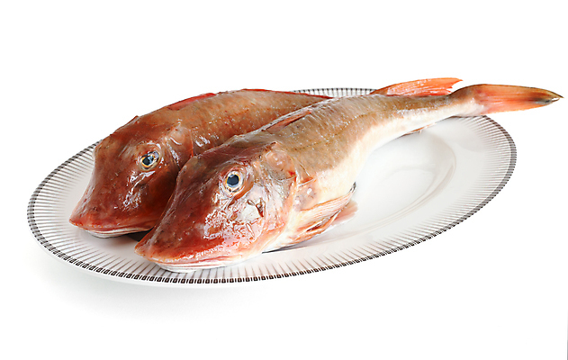 포토 JPG 해외이미지 동물 접시 클리핑패스 음식 바다 분홍색 백그라운드 2 다이어트 통 건강 어류 사람없음 가로 빨간색 식당 식사 저녁식사 흰색 신선 먹기 해산물 준비 유기농 날것 지느러미 고립 소금물 정물화 해외202004 해외포토 식기 웰빙 컬러 모션 상점 수중동물 그림 파일형식 이미지허브