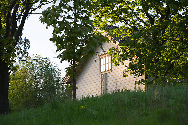 포토 JPG 해외이미지 나무 식물 창문 주택 사람없음 평화 정원 새벽 언덕 싱글 해외202004 해외포토 자연요소 컨셉 건물 파일형식 이미지허브