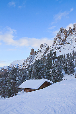 포토 JPG 해외이미지 나무 스포츠 여행 겨울 하늘 휴가 스키 산 주택 풍경 사람없음 건물 파란색 이탈리아 정상 배열 언덕 휴양지 알프스 선로 제설기 가문비나무 해외202004 해외포토 식물 건축물 계절 유럽 컬러 겨울스포츠 장소 제설 파일형식 이미지허브