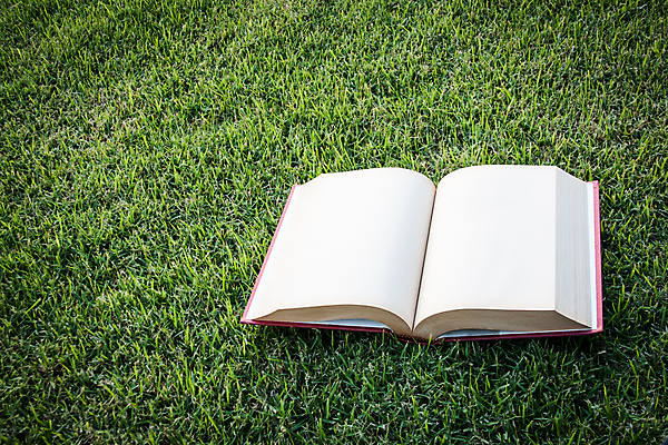 포토 JPG 해외이미지 구름 학생 라이프스타일 손 공원 교육 종이 도로 컨셉 밭 휴식 주택 이끼 사람 잔디 사람없음 야외 건물 책 세로 초록색 스터디 일몰 봄 공백 시골 잡기 업무 오픈 잡지 숲 읽기 페이지 시트 거짓말 해외202004 해외포토 자연요소 식물 건축물 계절 공공시설 길 컬러 농업 교통시설 모션 생활 신체부위 간행물 학습 노을 작업 파일형식 이미지허브