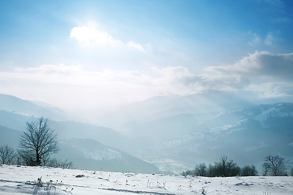 포토 JPG 해외이미지 나무 구름 계절 백그라운드 겨울 자연 하늘 날씨 산 안테나 풍경 사람없음 야외 가로 햇빛 태양 추위 흰색 오브젝트 서리 장면 1월 우크라이나 해외202004 해외포토 자연요소 식물 유럽 컬러 통신 날짜 생태계 파일형식 이미지허브