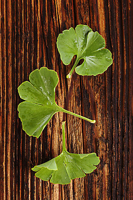 포토 JPG 해외이미지 식물 전통 백그라운드 잎 자연 건강 사람없음 목재 치료 세로 초록색 물 약 중국 약재 물방울 나뭇가지 시골 신선 떨어짐 약초 이슬 수분 허브 집중 내추럴 고립 해외202004 해외포토 자연요소 나무 아시아 컬러 컨셉 재료 의학 풀_식물 생태계 파일형식 이미지허브