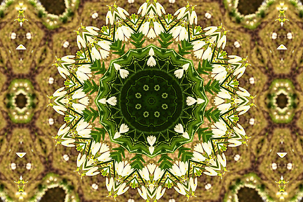 포토 JPG 해외이미지 디자인 꽃잎 꽃 백그라운드 꽃무늬 패턴 자연 추상 프레임 국화 사람없음 파란색 유행 보라색 거울 질감 부족 대칭 만다라 만화경 스노드롭 해외202004 해외포토 식물 컬러 컨셉 무늬 장난감 생태계 파일형식 이미지허브