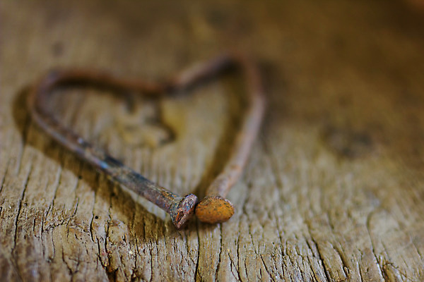 포토 JPG 해외이미지 모양 디자인 커플 감정 벽 결혼 백그라운드 컨셉 패턴 관계 벽지 결혼식 추상 휴가 프레임 발렌타인데이 선물 사랑 사람없음 목재 장식 갈색 우주 귀여움 수확 하트 시골 축하 신용카드 심볼 오브젝트 사인 질감 복고 열정 2월 옛날 해외202004 해외포토 나무 컬러 무늬 농업 재료 데이이벤트 이벤트 금융 날짜 파일형식 이미지허브