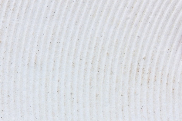 포토 JPG 해외이미지 라이프스타일 옷 남자 어린이 스포츠 백그라운드 운동화 신발 휴식 슬리퍼 부츠 건강 사람 사람없음 달리기 조깅 운동 유행 걷기 검은색 하이킹 장비 흰색 우아함 가죽 양발 운동화끈 유일 해외202004 해외포토 컬러 컨셉 모션 레저 생활 끈 파일형식 이미지허브