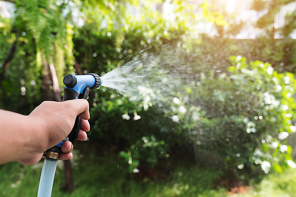 포토 JPG 해외이미지 나무 식물 직업 손 공원 꽃 백그라운드 잎 꽃무늬 자연 노동자 사람없음 야외 초록색 물 여름 정원 봄 성장 벚꽃 도구 업무 캔 냄비 서비스 물주기 원예 호스 일반 유지 돌봄 심기 압력 원예사 해외202004 해외포토 자연요소 계절 공공시설 컬러 무늬 모션 취미 신체부위 작업 솥 생태계 파일형식 이미지허브