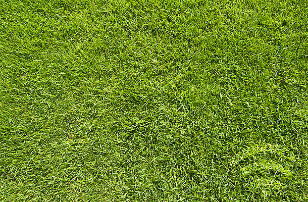 포토 JPG 해외이미지 식물 아이콘 라이프스타일 공원 백그라운드 잎 패턴 밭 인터넷 자연 벽지 추상 새로움 프레임 잔디 사람없음 초록색 환경 성장 신선 땅 허브 무선전화기 질감 내추럴 그리너리 해외202004 해외포토 공공시설 컬러 컨셉 무늬 농업 생활 전화기 생태계 파일형식 트랜드컬러 이미지허브