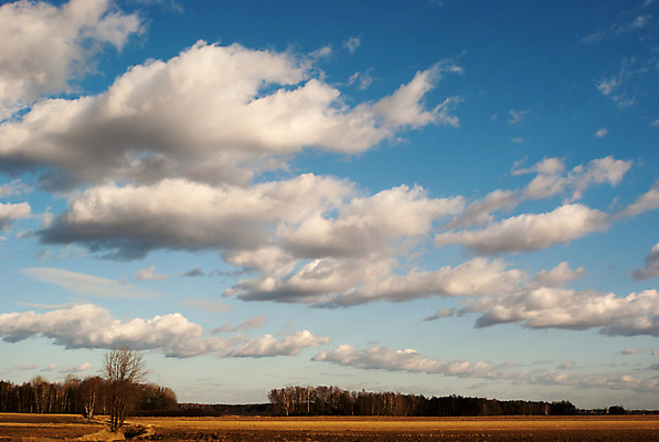 포토 JPG 해외이미지 식물 계절 산업 지구 음식 백그라운드 잎 밭 농업 채소 자연 하늘 건강 풍경 사람없음 야외 초록색 여름 파란색 컬러풀 태양 농장 농경지 갈색 환경 정원 흙 봄 수확 성장 시골 신선 땅 시리얼 유기농 내추럴 땅바닥 밭일 쟁기 줄서기 수평선 세련 해외202004 해외포토 자연요소 웰빙 컬러 모션 바닥 생태계 파일형식 이미지허브