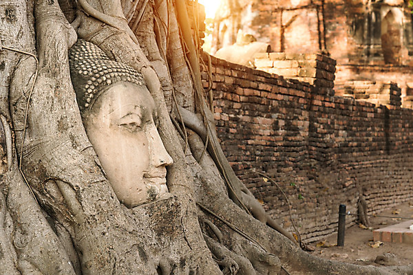 포토 JPG 해외이미지 손 아시아 종교 문화 조각 백그라운드 불교 태국 관리 미술 동양인 사람없음 장식 조각상 머리 기도 도시 심볼 명상 그림 옛날 해외202004 해외포토 나라 문화예술 인종 신체부위 조형물 파일형식 이미지허브
