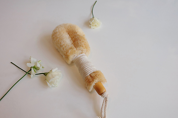 포토 JPG 해외이미지 꽃잎 꽃 줄기 꽃다발 잎 사람없음 치료 초록색 스파 흰색 붓 삼베 오브젝트 순환 스킨케어 내추럴 돌봄 해외202004 해외포토 식물 컬러 의학 모션 뷰티 파일형식 천_직물 이미지허브