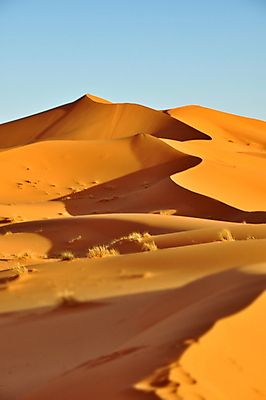 포토 JPG 해외이미지 모래 여행 아프리카 자연 하늘 바람 건조 풍경 사람없음 야외 여름 사막 모래언덕 모로코 사하라 영원 해외202004 해외포토 자연요소 계절 나라 날씨 언덕 생태계 파일형식 이미지허브