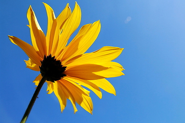 포토 JPG 해외이미지 식물 사람없음 해외202004 해외포토 파일형식 이미지허브