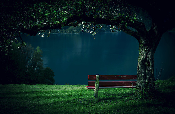 포토 JPG 해외이미지 나무 꽃 행복 감정 유럽 벤치 자연 산 그림자 앉기 풍경 사람없음 물 여름 컬러풀 어둠 봄 슬픔 과수원 스위스 드라마 강렬 단절 해외202004 해외포토 자연요소 식물 계절 나라 컬러 농업 의자 모션 생태계 파일형식 이미지허브