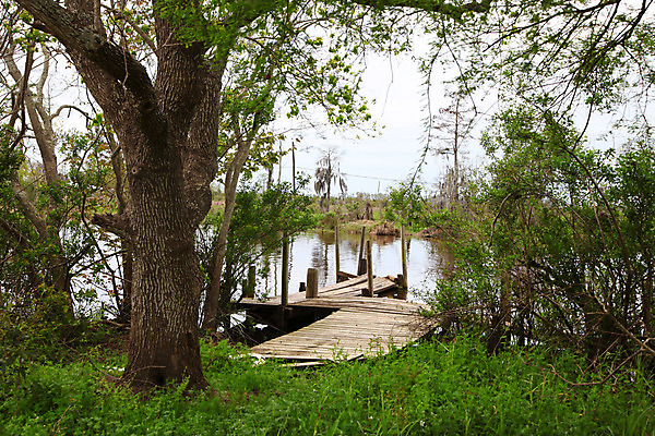 포토 JPG 해외이미지 나무 호수 여행 자연 파노라마 국립공원 숙이기 풍경 사람없음 야외 초록색 물 강 반사 계곡 미국 황무지 주식 숲 대륙 태평양 지역 전국 절정 해외202004 해외포토 자연요소 식물 공원 바다 컬러 포즈 북아메리카 촬영기법 금융 생태계 파일형식 이미지허브