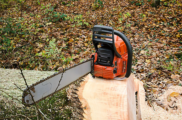 포토 JPG 해외이미지 나무 직업 남자 장갑 노동자 안전 사람 성인 사람없음 야외 목재 힘 장비 도구 공구 업무 작업 숲 헬멧 위험 자르기 도끼 나무껍질 잡동사니 벌목 수목 전기톱 해외202004 해외포토 식물 잡화 컨셉 재료 모션 껍질 보호장비 톱 파일형식 이미지허브