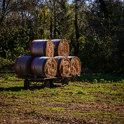 포토 JPG 해외이미지 계절 백그라운드 밭 농업 자연 하늘 프레임 씨앗 사람없음 가로 세로 파란색 농작물 농가 농장 기계 봄 장비 수확 시골 업무 볏짚 결합 땅 자르기 밀 먼지 트랙터 뭉치 밀짚 갈퀴 밭일 파종 해외202004 해외포토 식물 산업 컬러 모션 곡류 농사 작업 짚 농기계 생태계 특수차량 파일형식 이미지허브