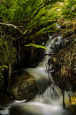 포토 JPG 해외이미지 유럽 자연 북유럽 노르웨이 풍경 사람없음 야외 물 여름 개울 암초 삼림지대 스칸디나비아 해외202004 해외포토 자연요소 계절 나라 강 숲 생태계 파일형식 이미지허브