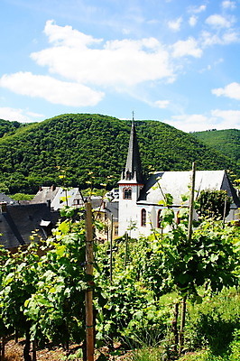 포토 JPG 해외이미지 사람없음 해외202004 해외포토 파일형식 이미지허브