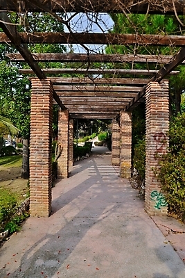 포토 JPG 해외이미지 나무 식물 공원 잎 채소 손바닥 풍경 사람없음 목재 초록색 평화 가을 스페인 명상 부드러움 안달루시아 해외202004 해외포토 손 계절 공공시설 유럽 컬러 컨셉 재료 감각 파일형식 이미지허브