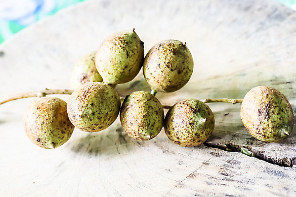 포토 JPG 해외이미지 오렌지 과일 태국 디저트 씨앗 사람없음 약 갈색 신선 숲 먹기 허브 날것 A 동쪽 내추럴 마약 효과 해외202004 해외포토 식물 알파벳 아시아 음식 컬러 의학 모션 방향 파일형식 이미지허브