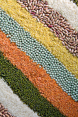 포토 JPG 해외이미지 식물 선 음식 조각 백그라운드 패턴 채소 오렌지 재료 밥 콩 건조 종류 씨앗 사람없음 초록색 줄무늬 그룹 닫기 혼합 낟알 수집 먹기 유기농 질감 완두콩 날것 모음 강낭콩 대각선 내추럴 대두 병아리콩 생식 섞기 줄서기 채식주의자 해외202004 해외포토 웰빙 컬러 무늬 과일 모션 곡류 채식 파일형식 이미지허브