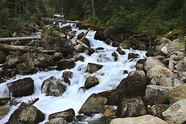포토 JPG 해외이미지 나무 캐나다 자연 산 풍경 사람없음 초록색 물 여름 강 폭포 신선 개울 떨어짐 숲 스플래쉬 해외202004 해외포토 자연요소 식물 계절 컬러 컨셉 북아메리카 생태계 파일형식 이미지허브