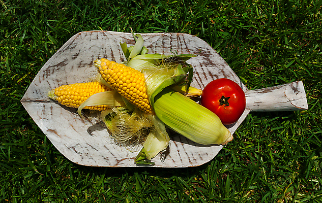 포토 JPG 해외이미지 행복 음식 백그라운드 잎 농업 다이어트 토마토 채소 과일 자연 건강 옥수수 사람없음 목재 장식 빨간색 초록색 숫자 노란색 보라색 식사 저녁식사 어둠 수확 가을 흰색 신선 정상 먹기 유기농 날것 내추럴 고립 밭일 섞기 채식주의자 비건 해외202004 해외포토 나무 식물 문자 웰빙 계절 감정 산업 컬러 재료 모션 곡류 생태계 채식 파일형식 이미지허브