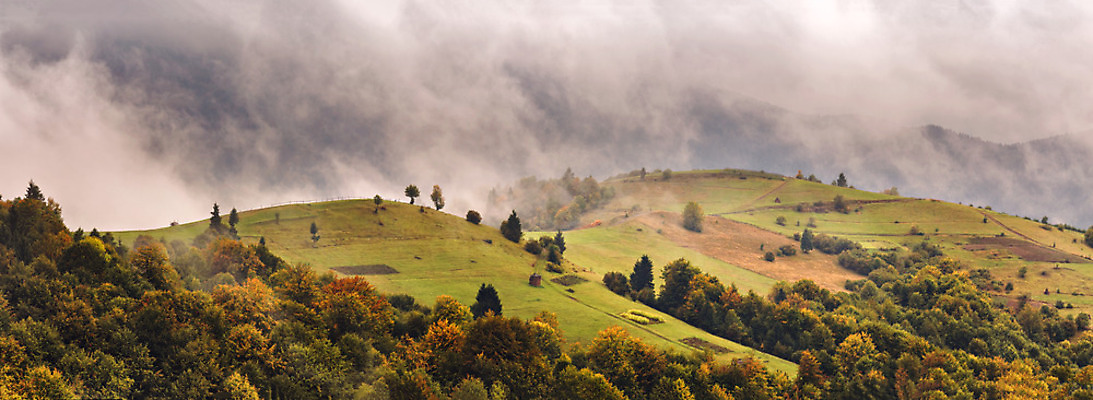 포토 JPG 해외이미지 나무 구름 계절 백그라운드 밭 농업 자연 하늘 산 파노라마 풍경 사람없음 목재 초록색 여름 컬러풀 농장 농경지 환경 안개 가을 시골 숲 9월 언덕 장면 내추럴 우크라이나 해외202004 해외포토 자연요소 식물 유럽 산업 컬러 재료 날씨 촬영기법 날짜 생태계 파일형식 이미지허브