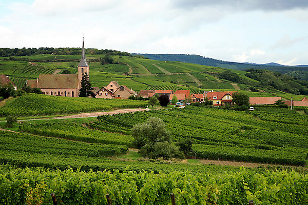 포토 JPG 해외이미지 식물 구름 산업 도로 여행 백그라운드 밭 농업 자연 하늘 포도 휴가 산 풍경 경사 사람없음 야외 건물 빨간색 초록색 농장 교회 탑 와인 계곡 봄 장비 프랑스 성장 시골 신선 샴페인 땅 언덕 포도밭 포도나무 지역 프랑스어 줄서기 세련 해외202004 해외포토 자연요소 문자 건축물 계절 유럽 길 컬러 과일 종교건축 교통시설 모션 주류 과일나무 생태계 파일형식 이미지허브