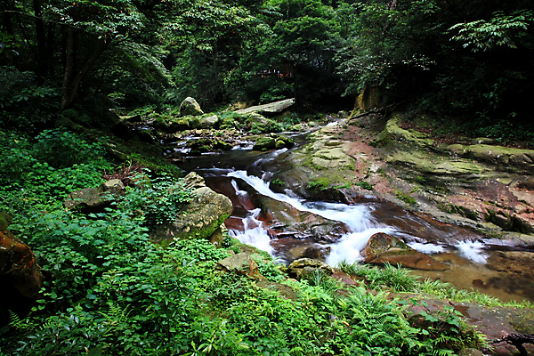 포토 JPG 해외이미지 나무 공원 자연 풍경 사람없음 강 세계 계곡 중국 도시 개울 재산 숲 내추럴 뿌연 옛날 전국 해외202004 해외포토 식물 공공시설 아시아 금융 생태계 파일형식 이미지허브