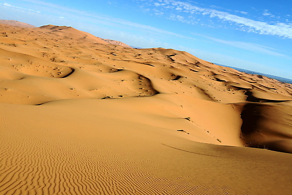 포토 JPG 해외이미지 모래 여행 자연 건조 풍경 사람없음 야외 여름 사막 황무지 땅 모래언덕 가뭄 해외202004 해외포토 계절 날씨 언덕 생태계 파일형식 이미지허브