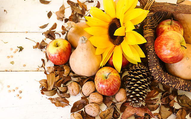 포토 JPG 해외이미지 식물 디자인 계절 꽃 백그라운드 잎 꽃무늬 패턴 오렌지 자연 휴가 해바라기 사람없음 장식 초록색 파란색 빛 컬러풀 노란색 우주 할로윈 수확 가을 흰색 질감 추수감사절 해외202004 해외포토 기독교 컬러 무늬 농업 과일 생태계 파일형식 이미지허브