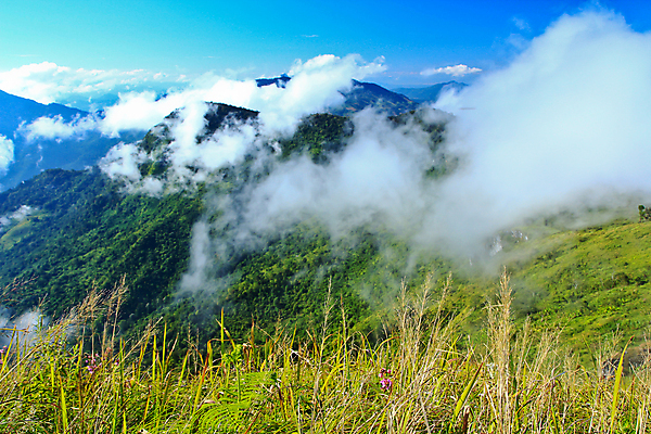포토 JPG 해외이미지 나무 구름 계절 길 여행 백그라운드 태국 자연 하늘 아침 조명 산 미술 풍경 사람없음 야외 장식 초록색 여름 컬러풀 햇빛 노란색 환경 계곡 수확 안개 골동품 가을 언덕 전나무 목각 산악지대 옛날 웅장함 절정 해외202004 해외포토 주간 자연요소 식물 아시아 컬러 농업 날씨 문화예술 태양 생태계 파일형식 이미지허브