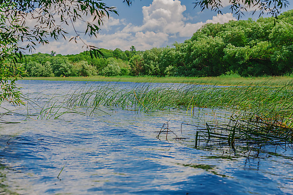 포토 JPG 해외이미지 나무 구름 계절 호수 야생동물 여행 백그라운드 잎 하늘 날씨 풍경 사람없음 목재 초록색 물 여름 파란색 햇빛 태양 환경 계곡 맑음 침묵 놀람 봄 흐름 바위 흰색 나뭇가지 시골 신선 개울 황무지 숲 언덕 즐거움 지역 흐림 감탄 생태학 전용 특별함 환상 수평선 해외202004 영광군 해외포토 자연요소 식물 동물 교육 감정 컬러 컨셉 재료 표정 강 소리 돌_바위 전라남도 파일형식 이미지허브