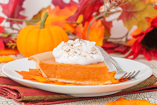 포토 JPG 해외이미지 전통 접시 계절 음식 조각 잎 부분 호박 디저트 사람없음 컬러풀 껍질 가을 대접 달콤 자르기 굽기 페스츄리 휘핑크림 해외202004 해외포토 식물 식기 빵 컬러 채소 모션 맛 구이 크림 휘핑 파일형식 이미지허브